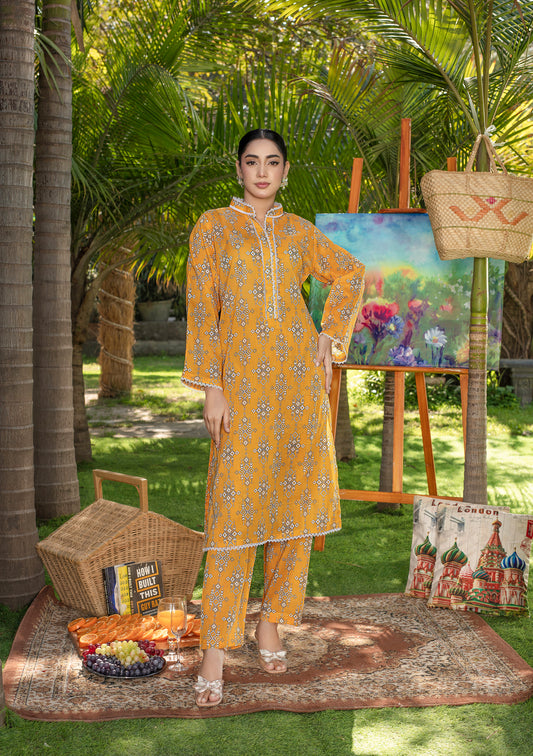 BinNoor Fab Lawn Stitched 2Pcs DE-LA08-P2-S075