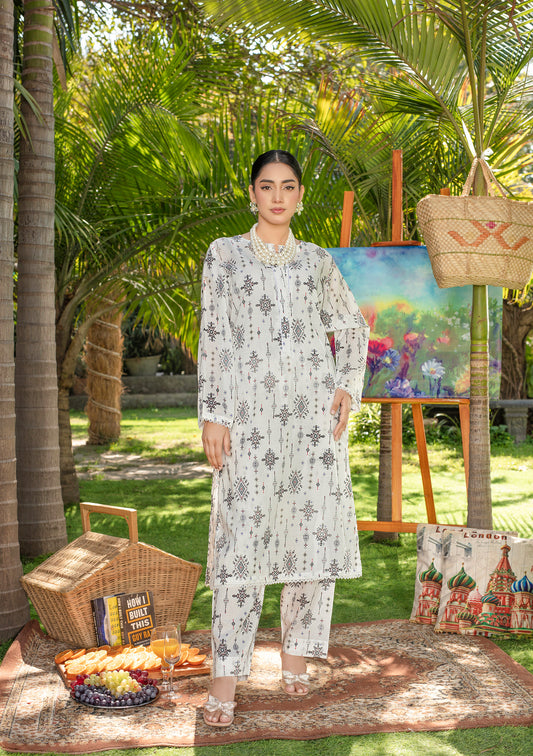 BinNoor Fab Lawn Stitched 2Pcs DE-LA08-P2-S066