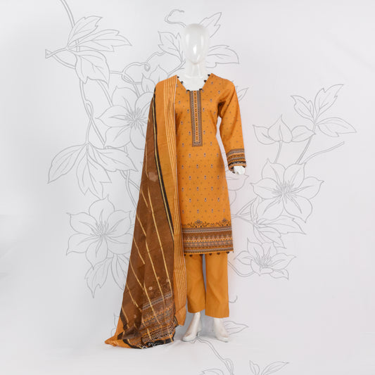 BinNoor Fab Lawn Diamond Dupatta 3Pcs De-LA02-P3013