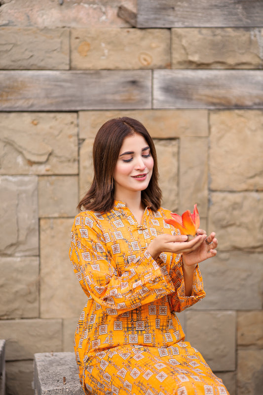 BinNoor Fab Lawn Stitched 2Pcs DE-LA06-P2-S048