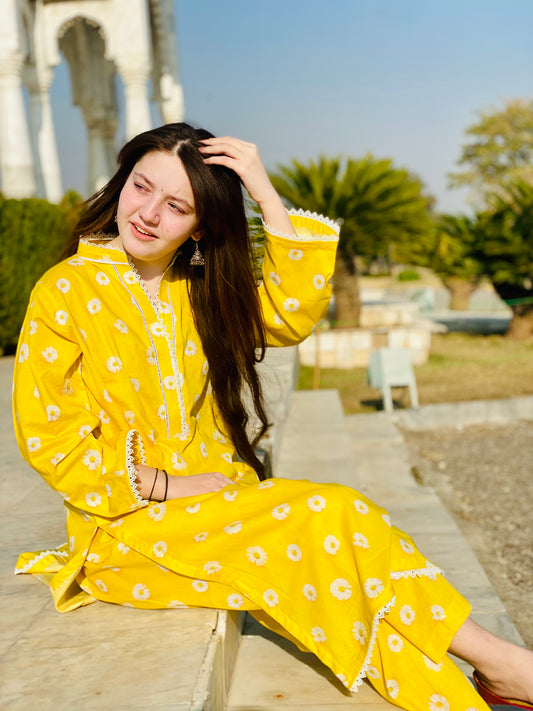 BinNoor Fab Lawn Stitched 2Pcs DE-LA05-P2-S032