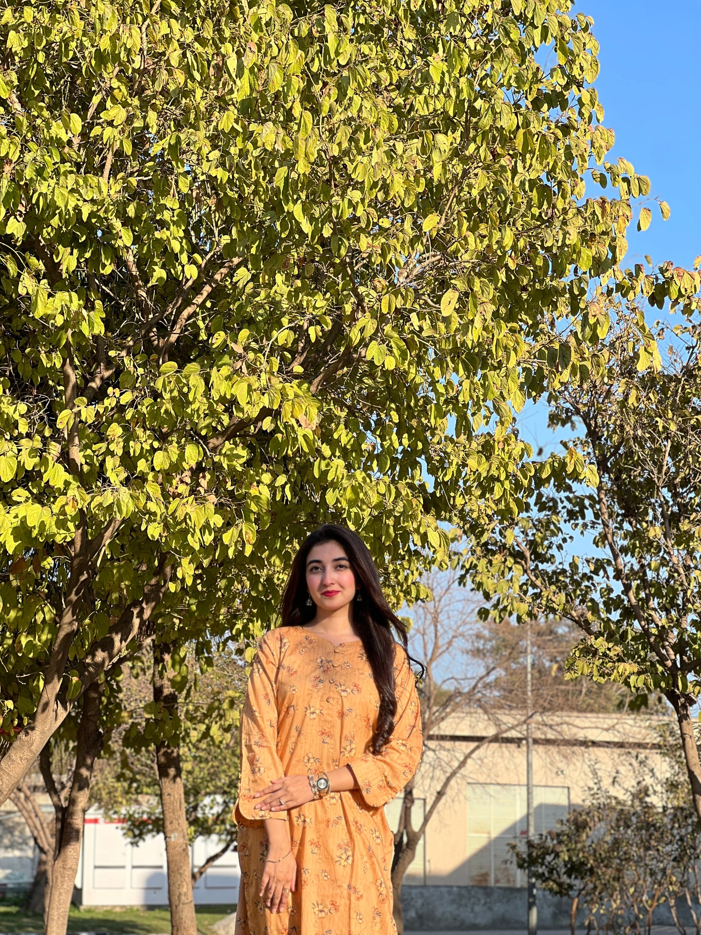 BinNoor Fab Lawn Stitched 2Pcs DE-LA05-P2-S038