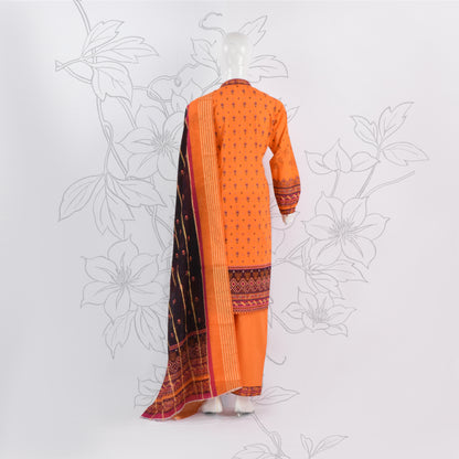 BinNoor Fab Lawn Diamond Dupatta 3Pcs De-LA02-P3020