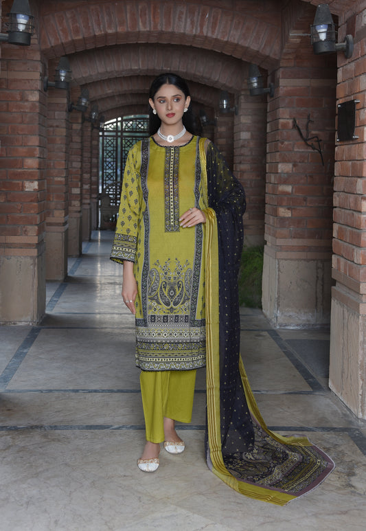 BinNoor Fab Lawn Diamond Dupatta 3Pcs De-LA04-P3040