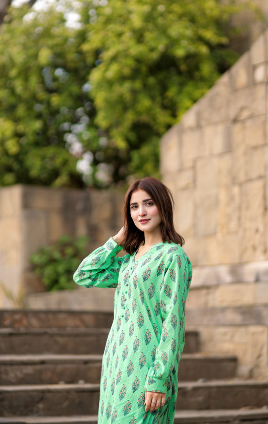 BinNoor Fab Lawn Stitched 2Pcs DE-LA06-P2-S044