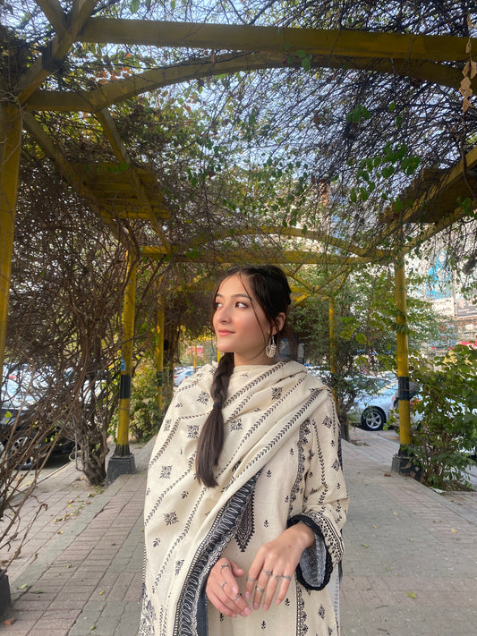 BinNoor Fab Khaddar 3Pcs Vol#1