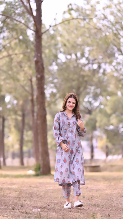 BinNoor Fab Lawn Stitched 2Pcs DE-LA05-P2-S041