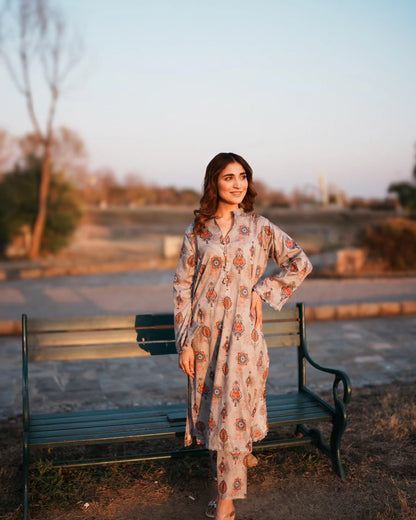 BinNoor Fab Lawn Stitched 2Pcs DE-LA05-P2-S041