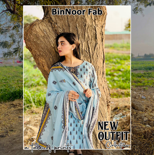 BinNoor Fab Lawn 3Pcs De-LA01-P3006